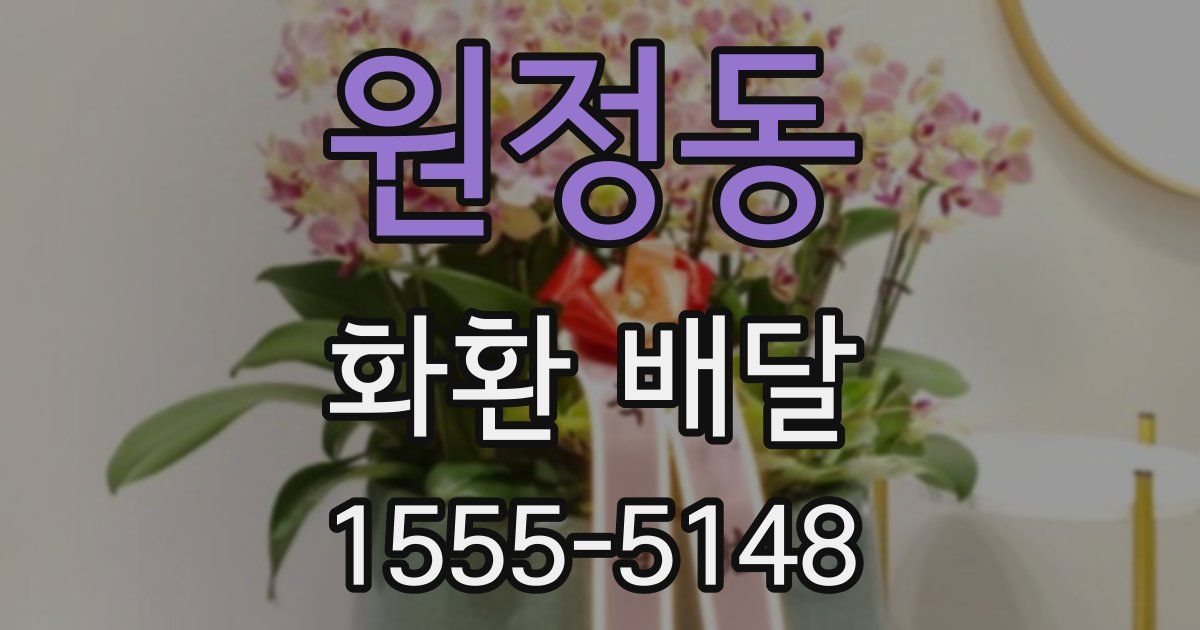 원정동 화환 배달