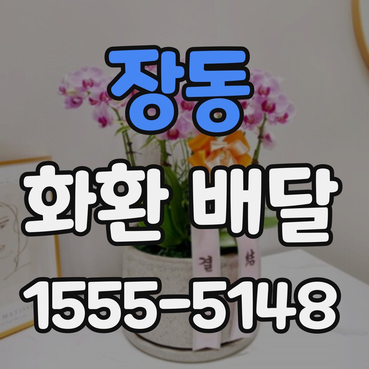 장동 화환 배달