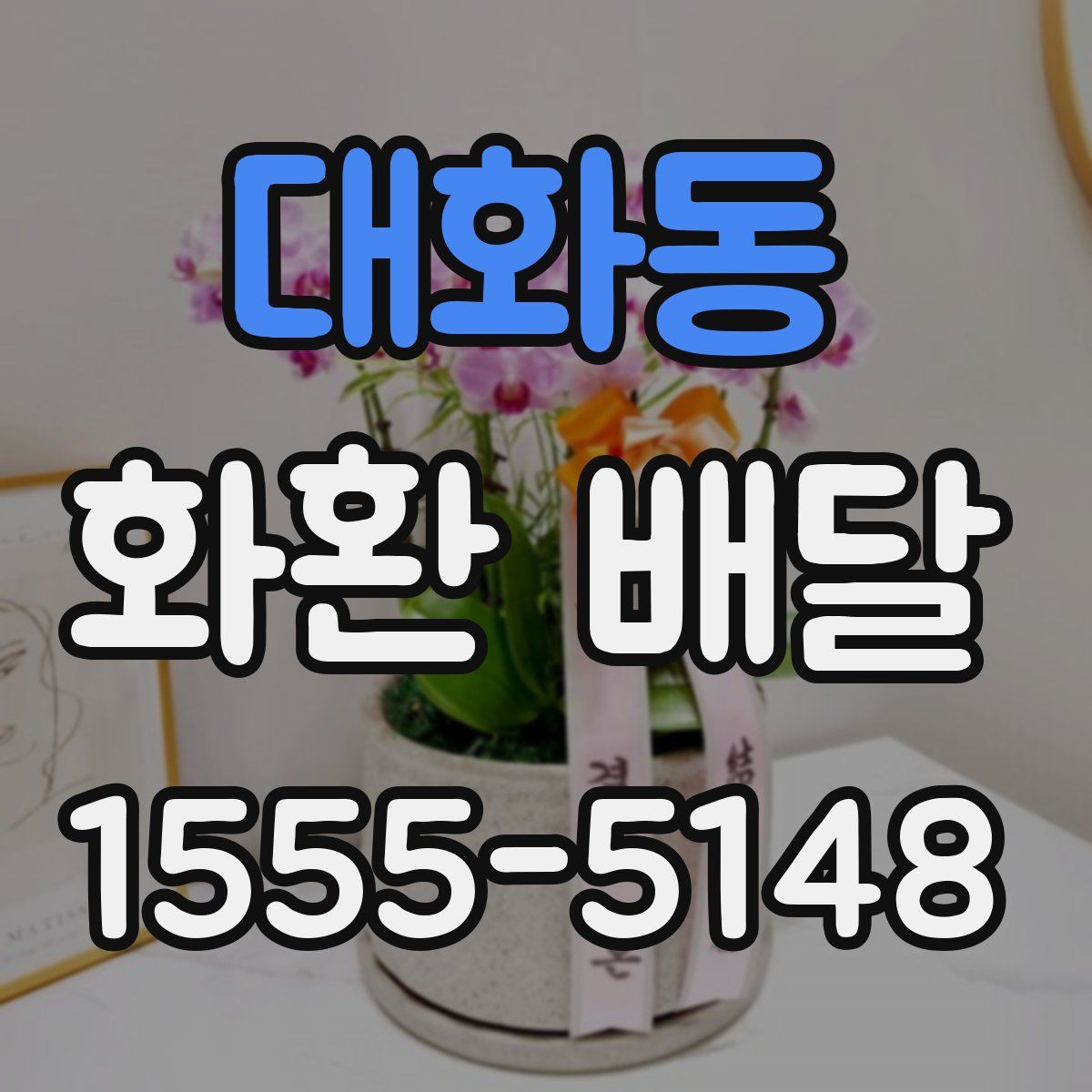 대화동 화환 배달
