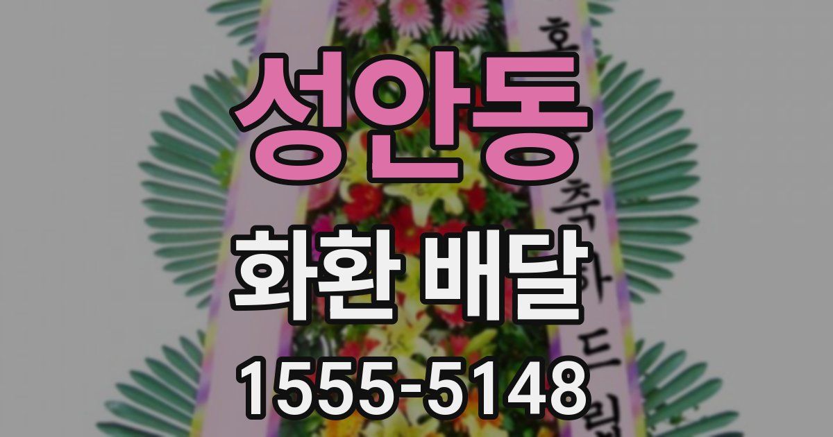 성안동 화환 배달