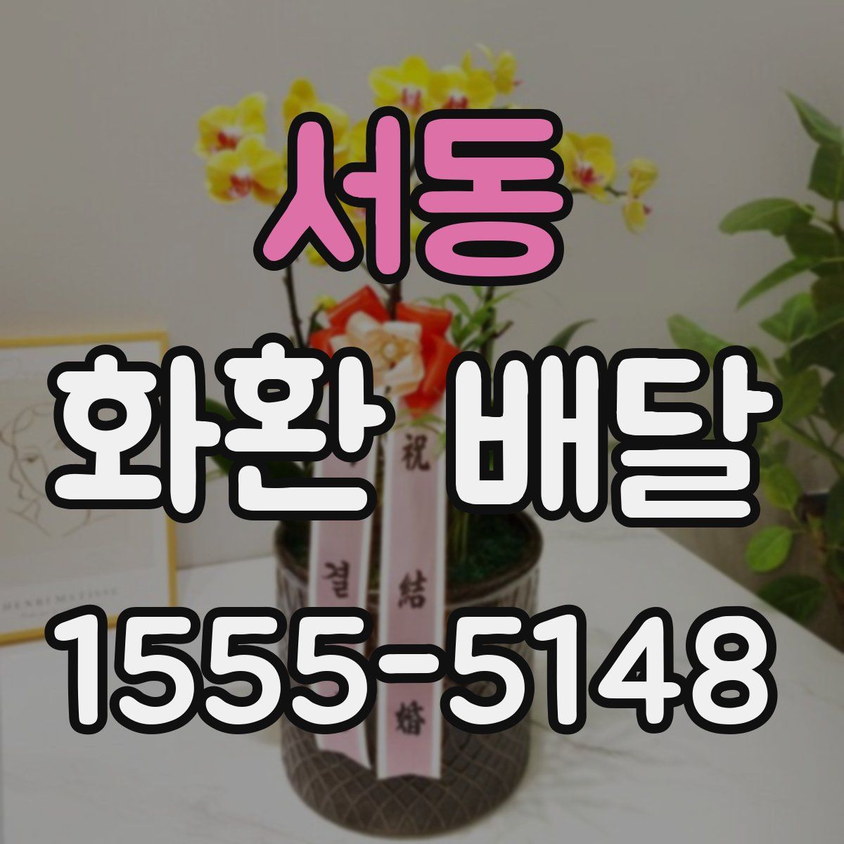 서동 화환 배달