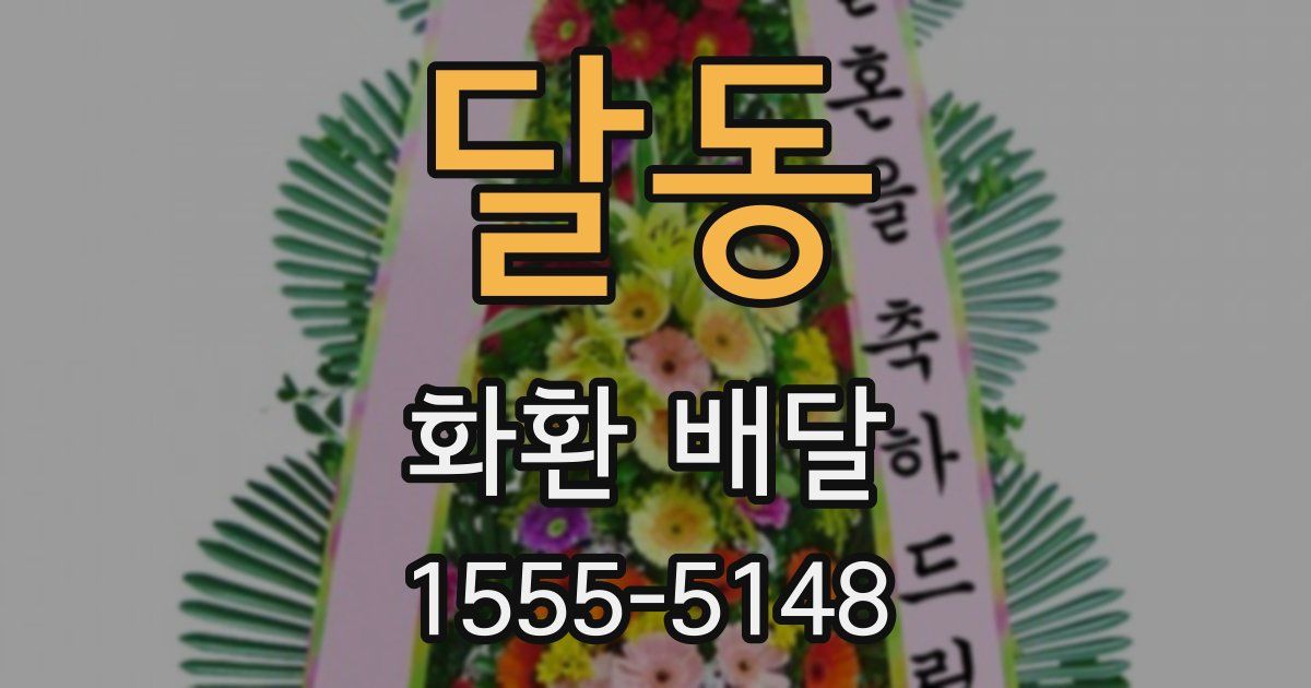 달동 화환 배달