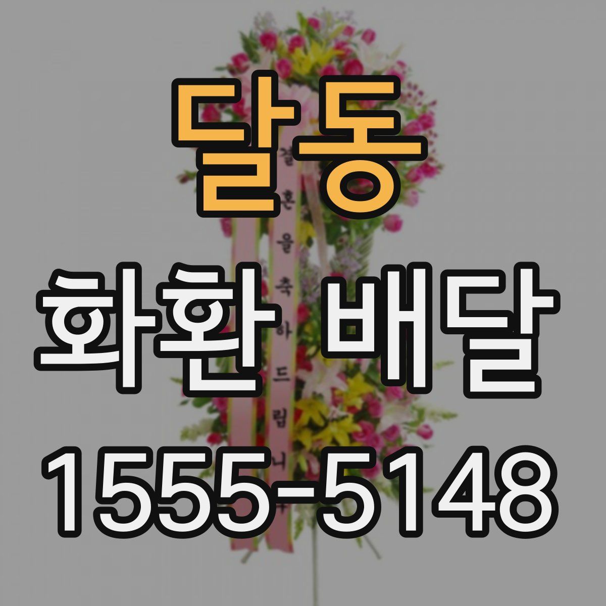 달동 화환 배달