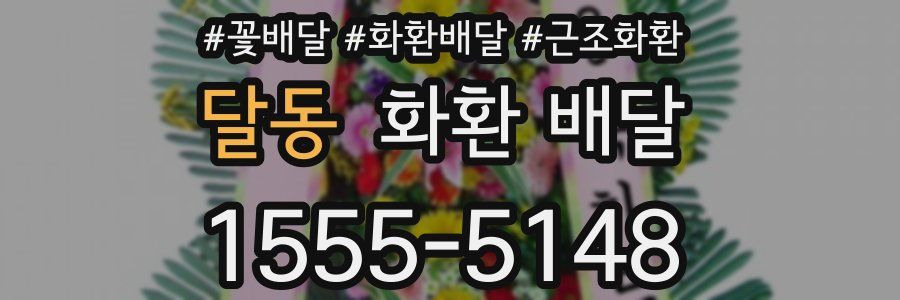 달동 화환 배달