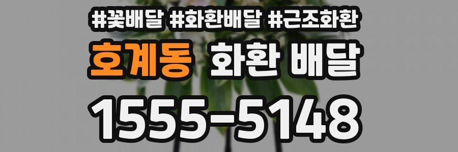호계동 화환 배달
