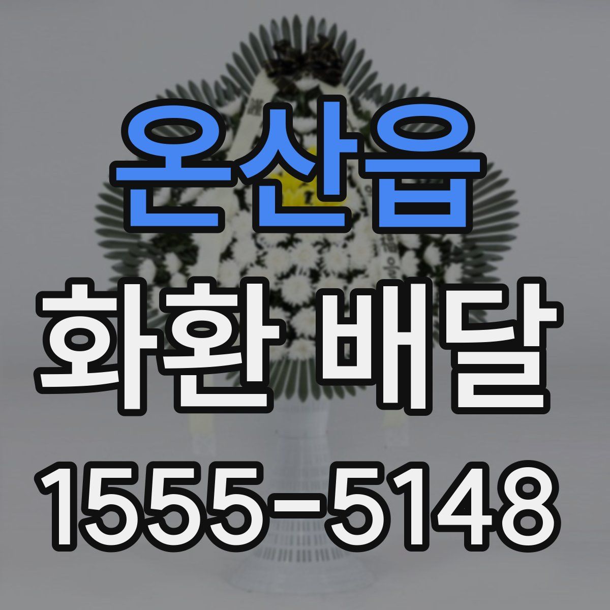 온산읍 화환 배달