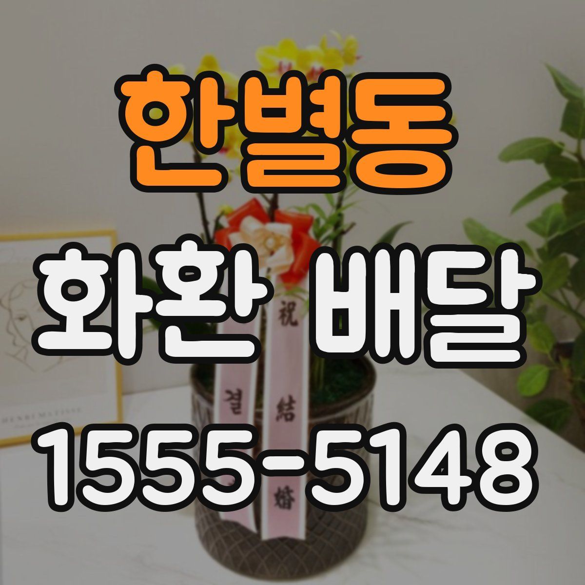 한별동 화환 배달