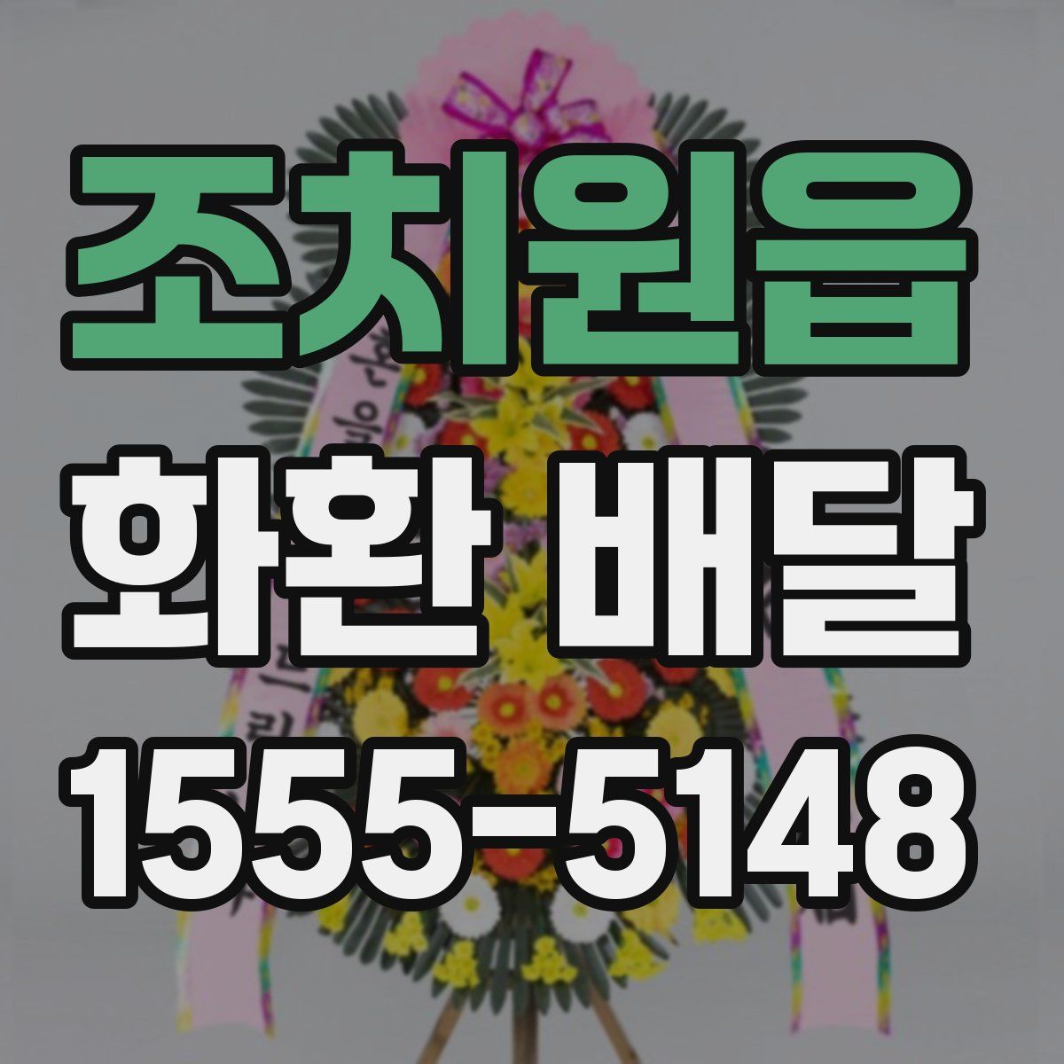 조치원읍 화환 배달
