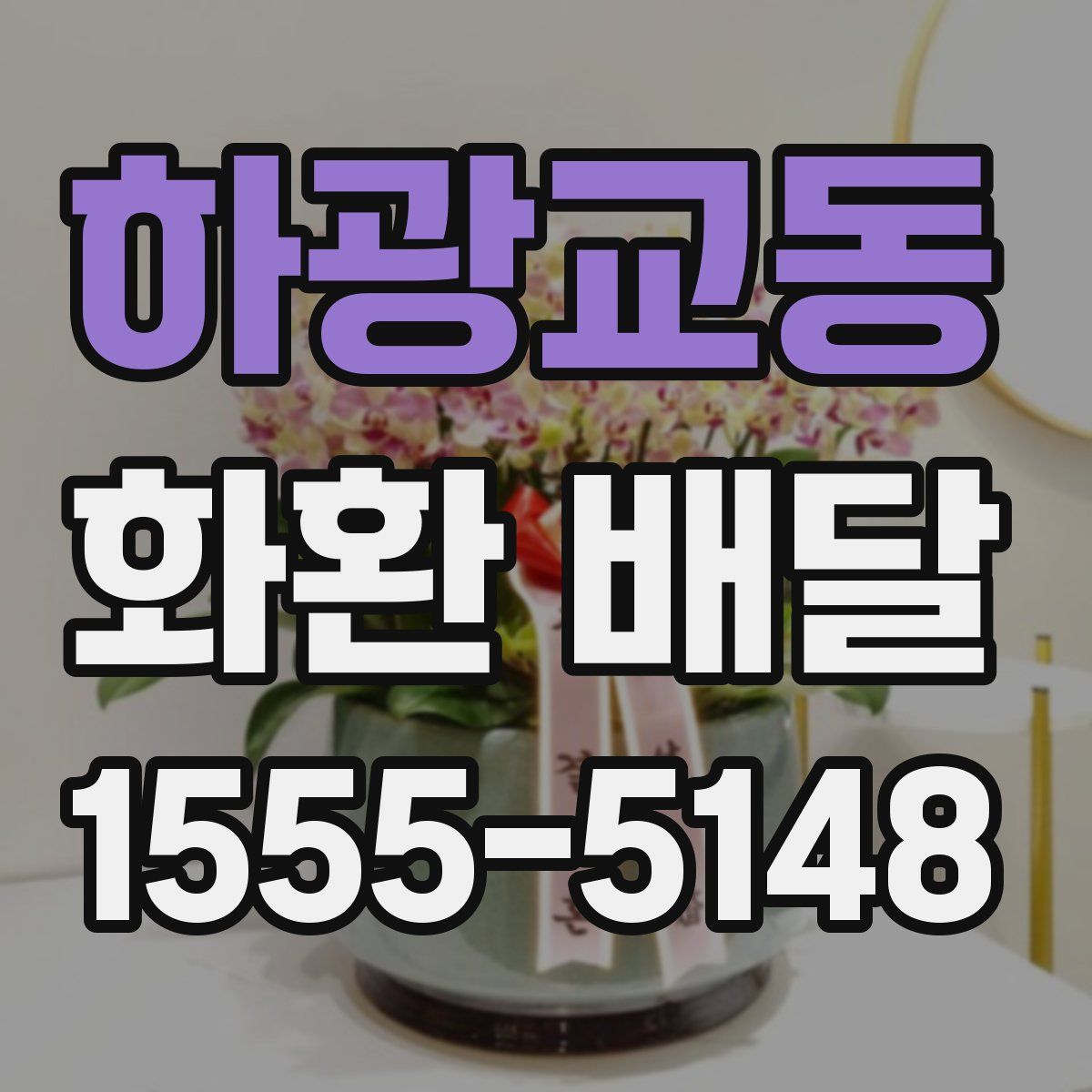 하광교동 화환 배달