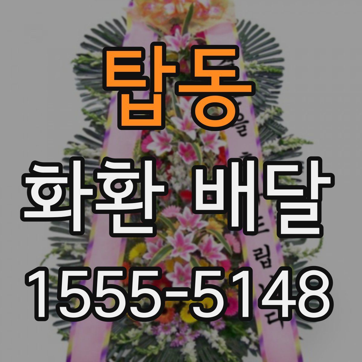탑동 화환 배달