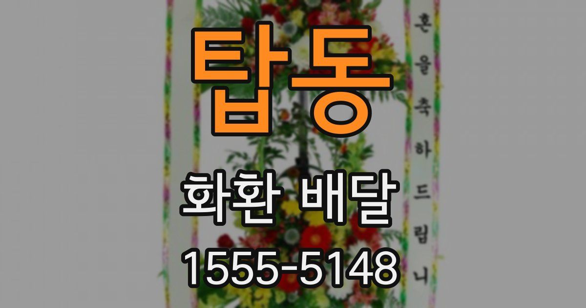 탑동 화환 배달