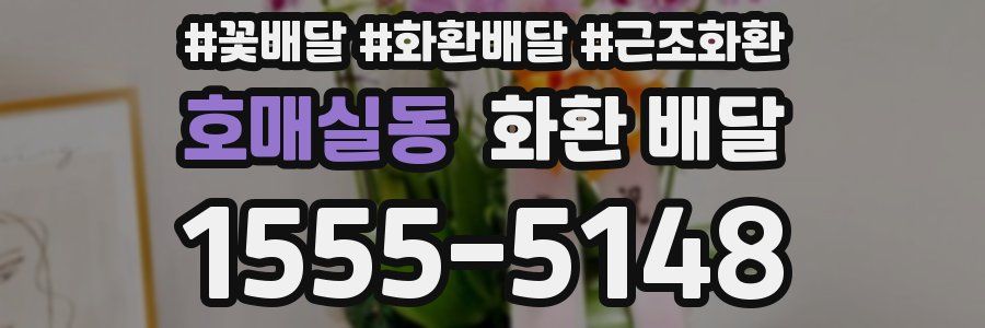 호매실동 화환 배달