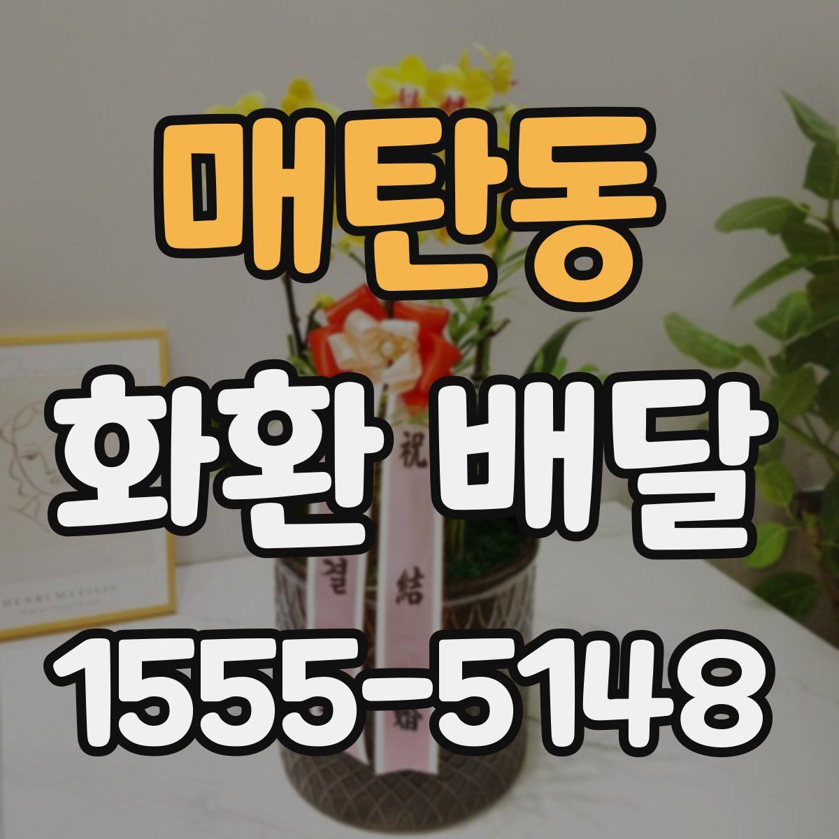 매탄동 화환 배달
