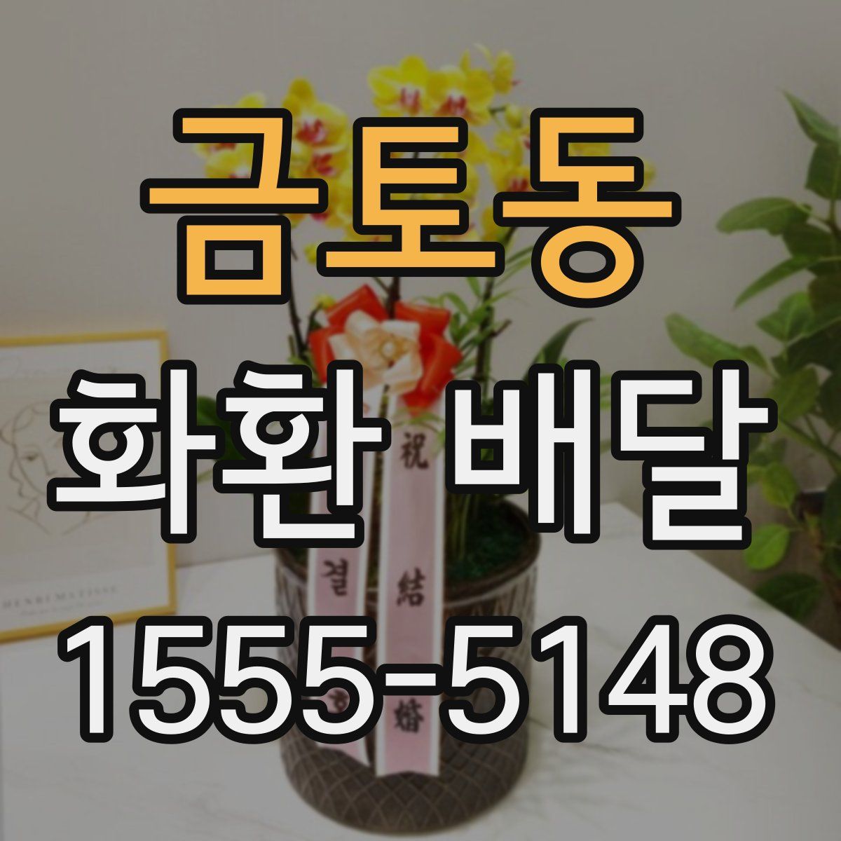 금토동 화환 배달