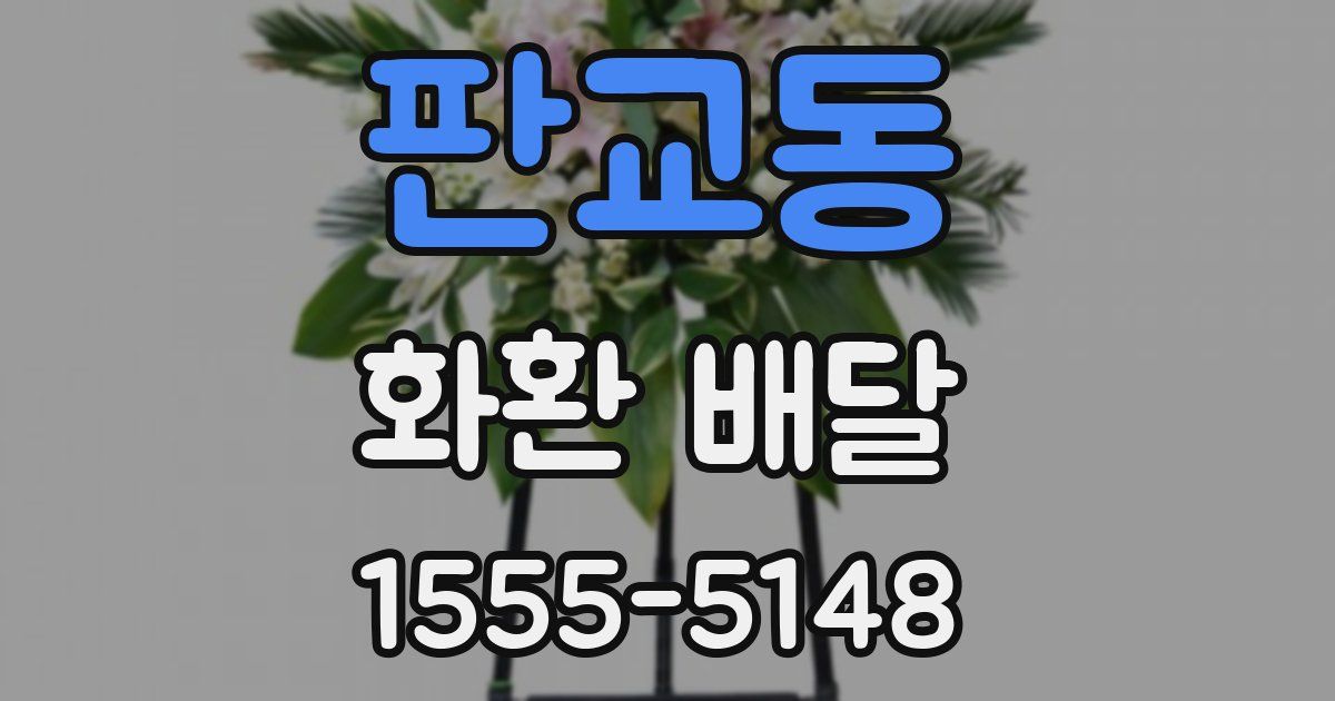 판교동 화환 배달