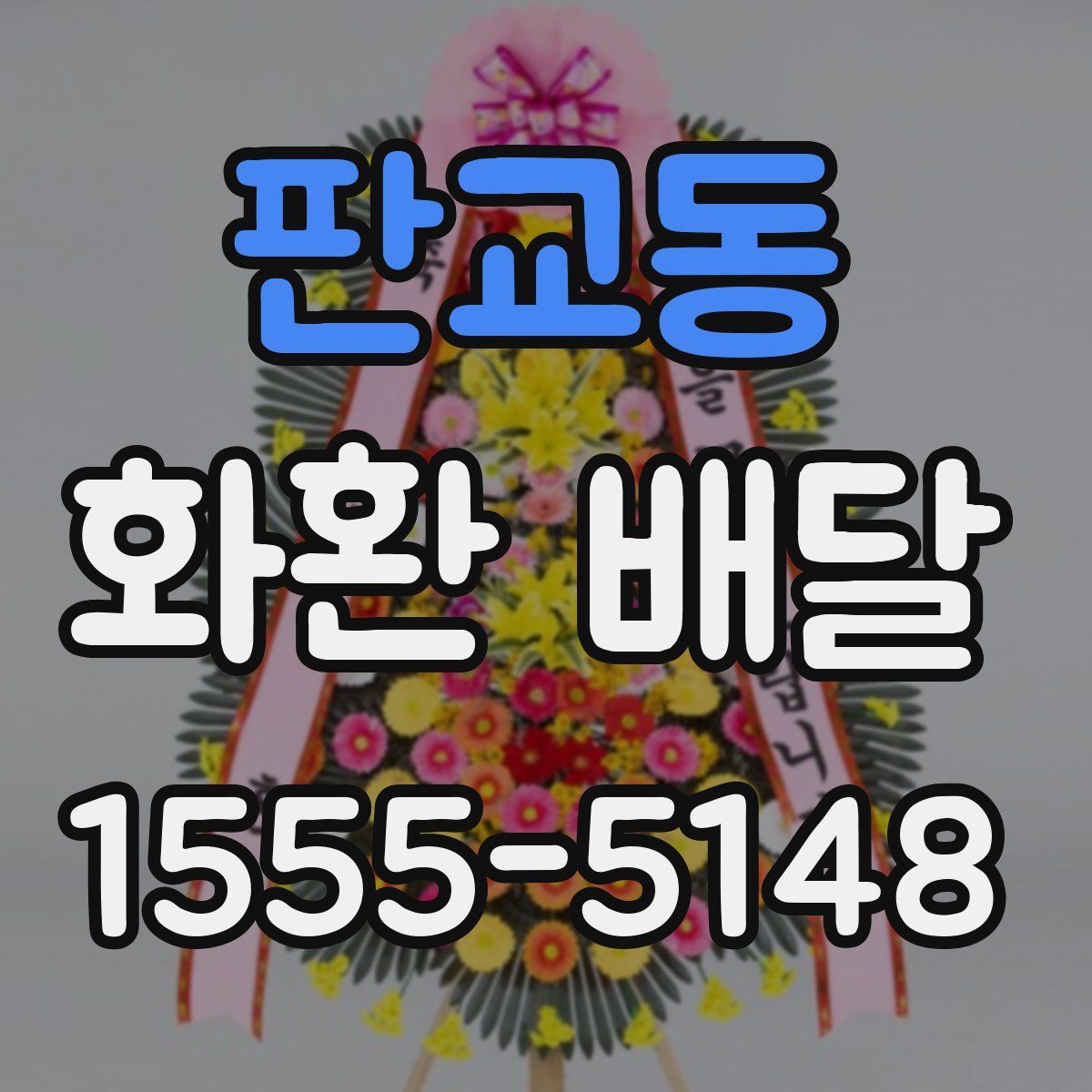 판교동 화환 배달