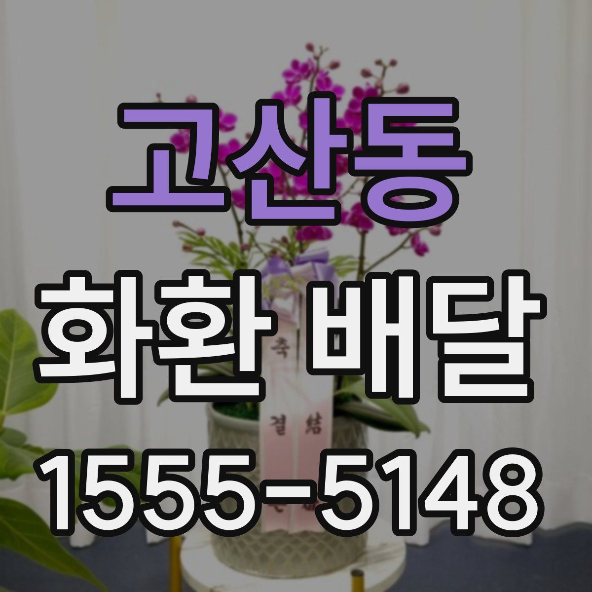 고산동 화환 배달