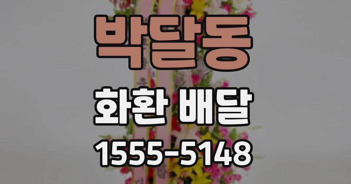 박달동 화환 배달
