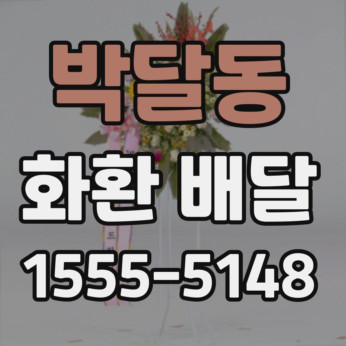박달동 화환 배달