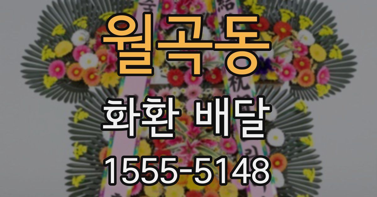 월곡동 화환 배달
