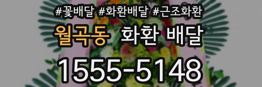 월곡동 화환 배달