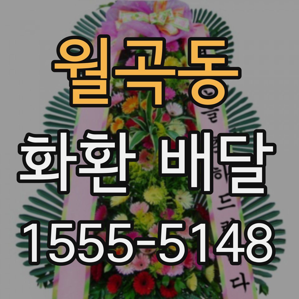 월곡동 화환 배달