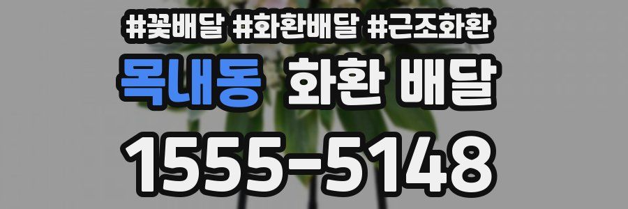 목내동 화환 배달