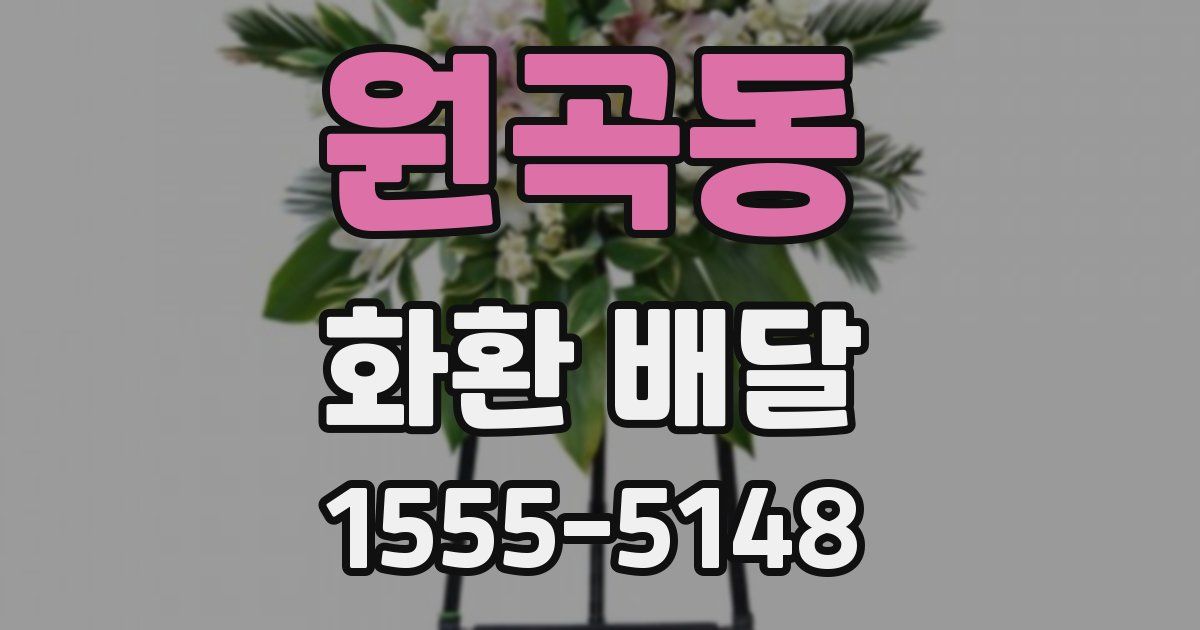 원곡동 화환 배달