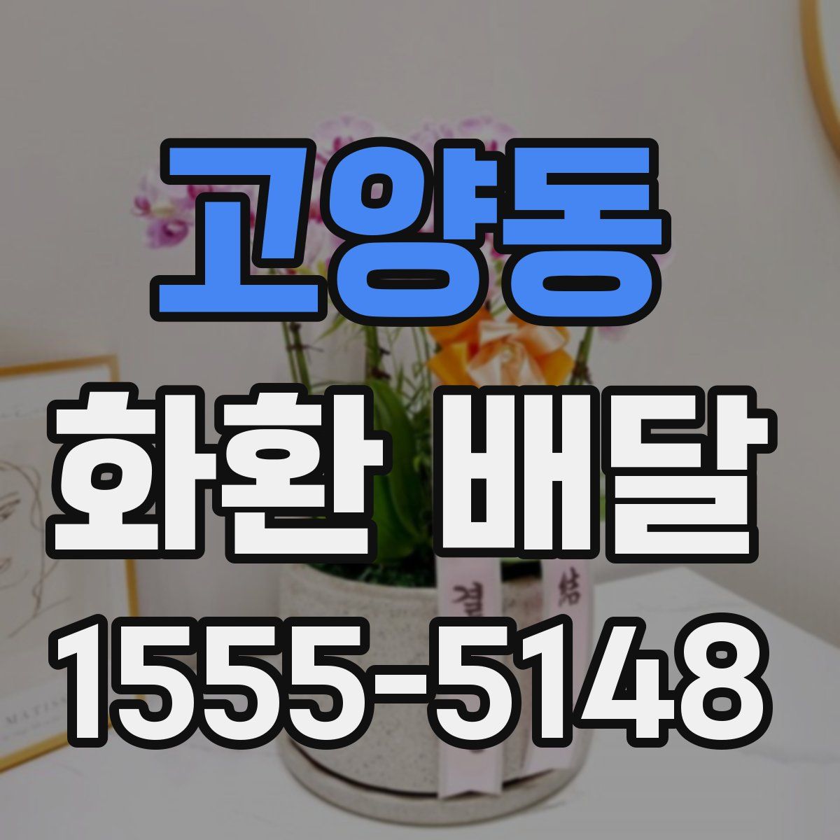 고양동 화환 배달