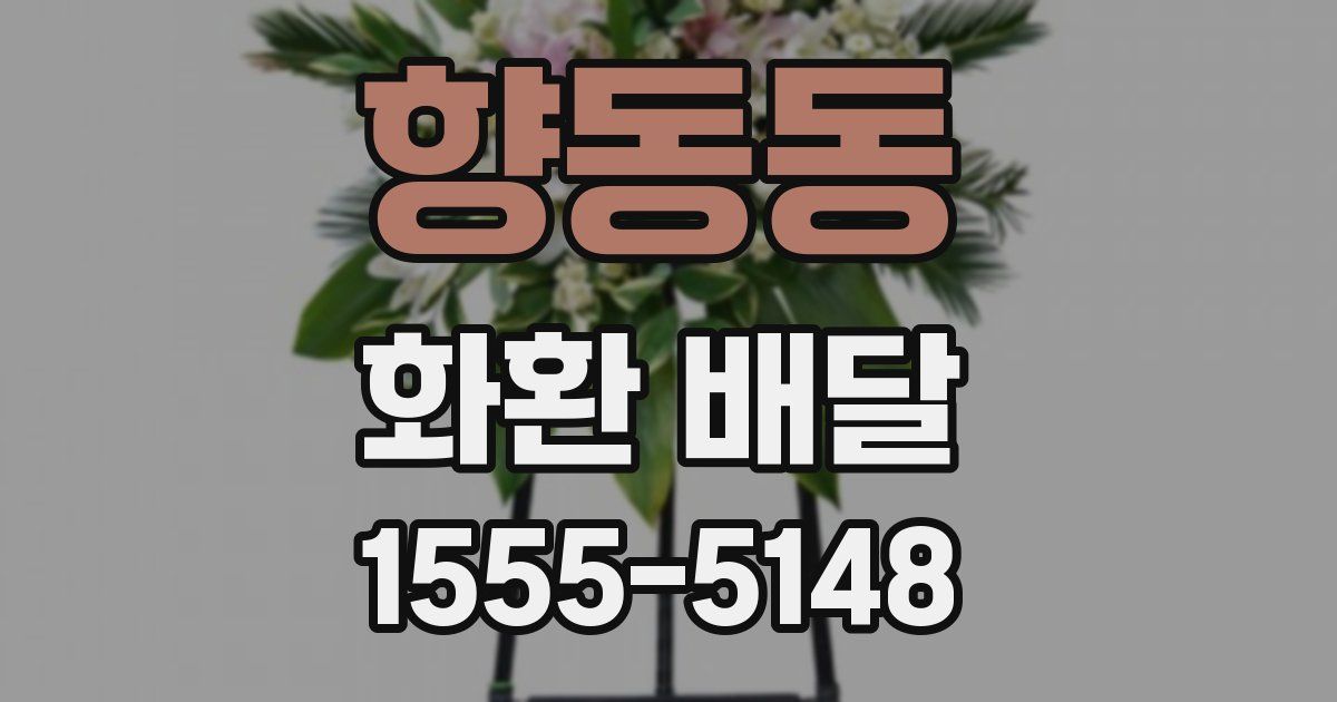 향동동 화환 배달