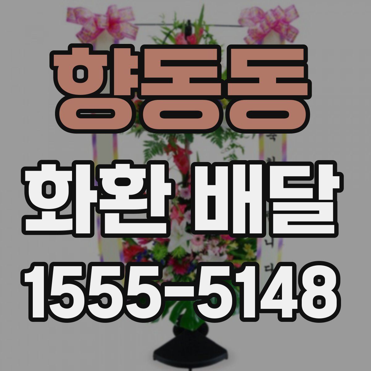 향동동 화환 배달