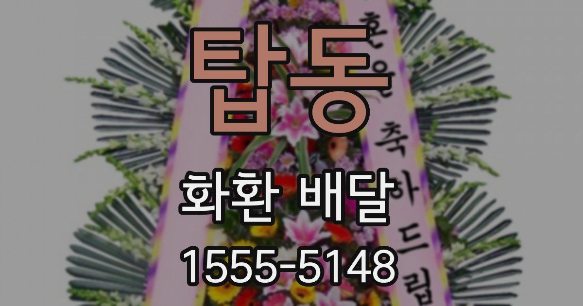 탑동 화환 배달