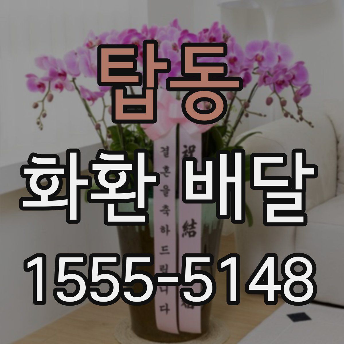 탑동 화환 배달