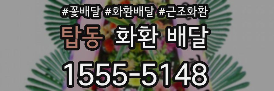 탑동 화환 배달