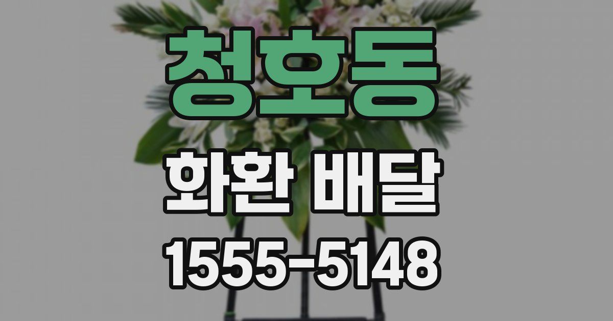 청호동 화환 배달