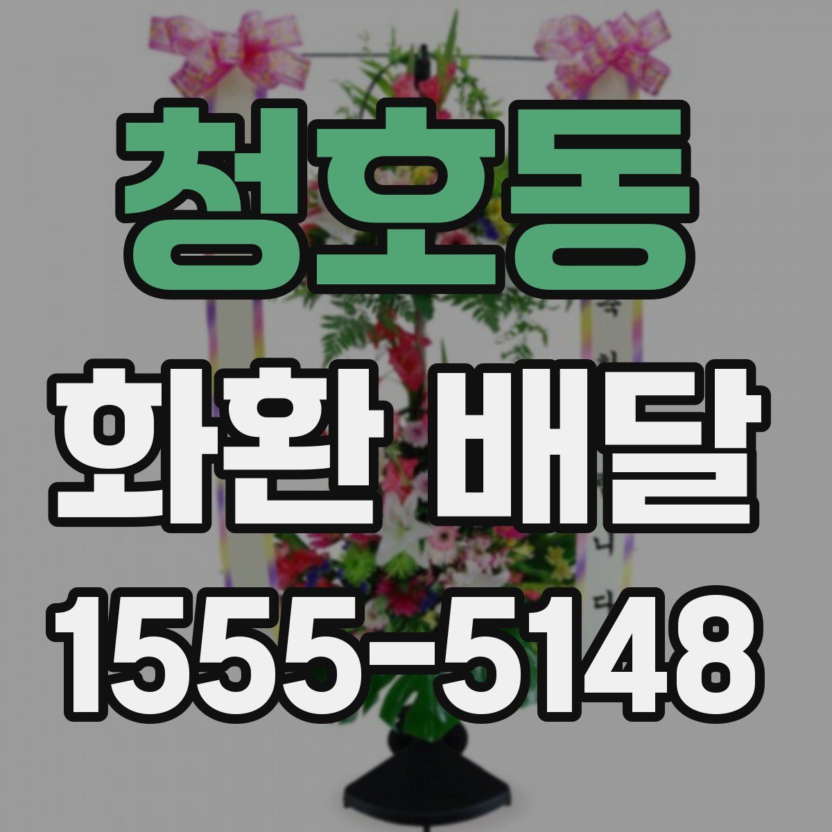 청호동 화환 배달