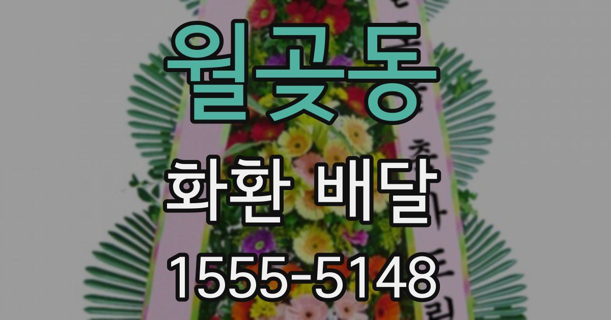월곶동 화환 배달