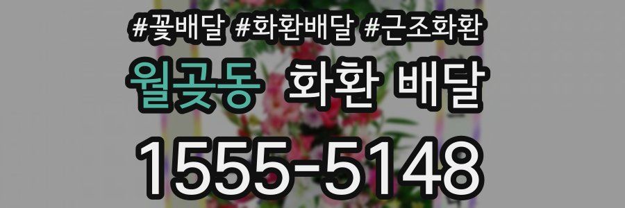 월곶동 화환 배달