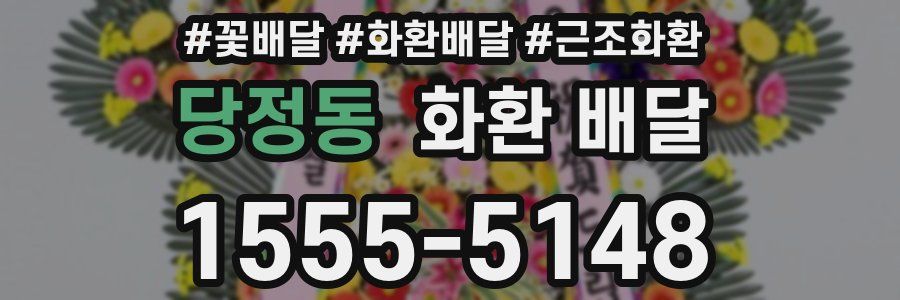 당정동 화환 배달