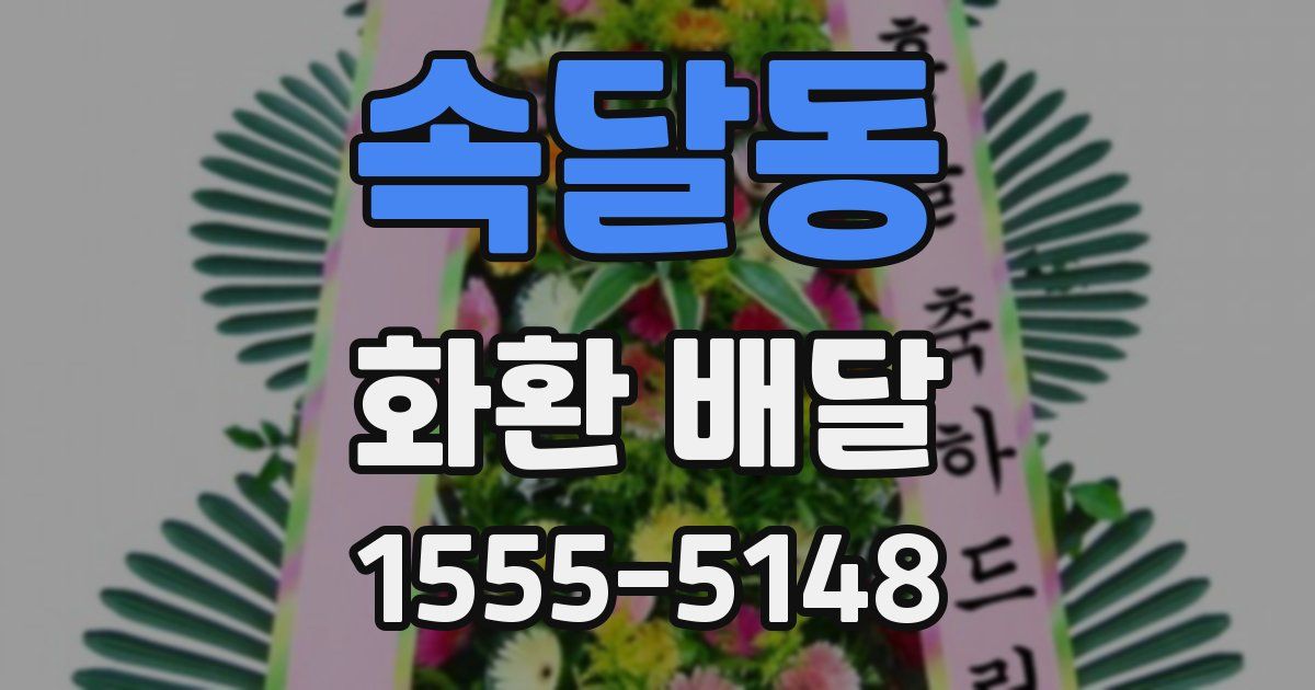 속달동 화환 배달