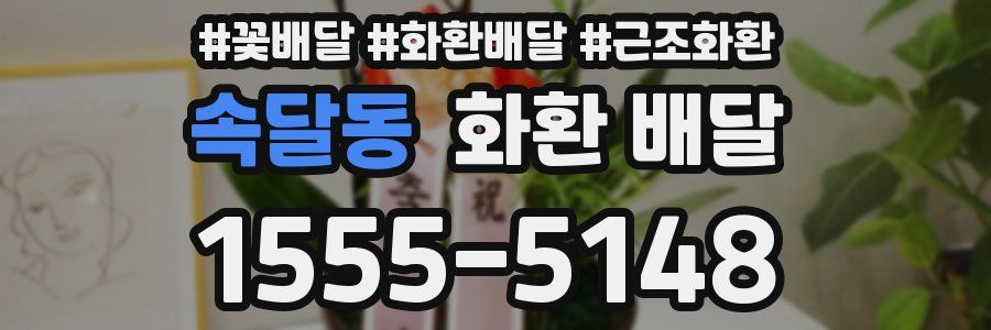 속달동 화환 배달