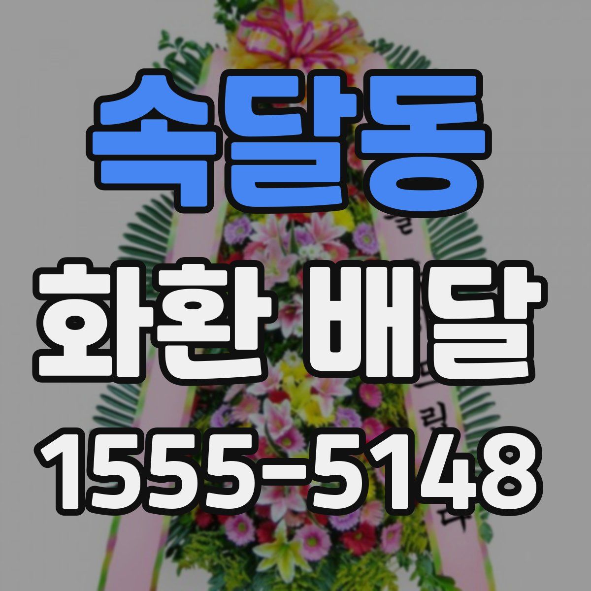 속달동 화환 배달