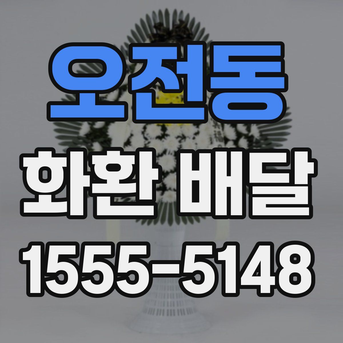 오전동 화환 배달