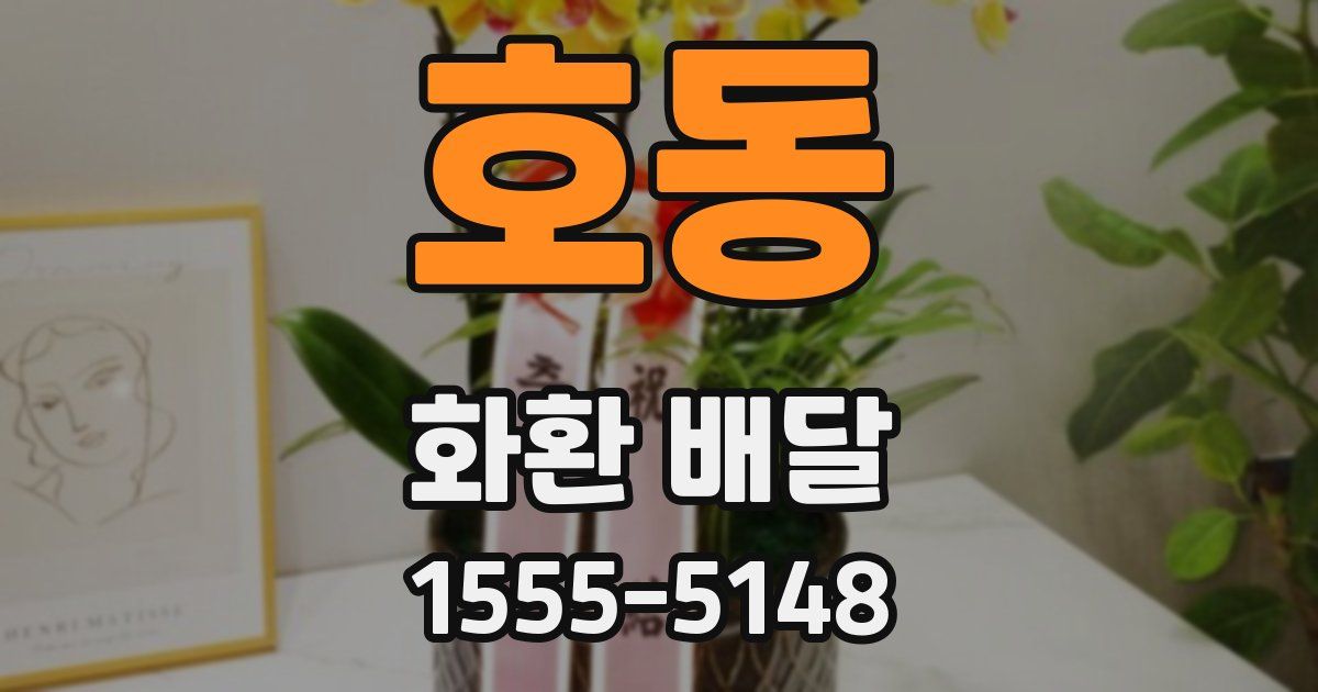 호동 화환 배달