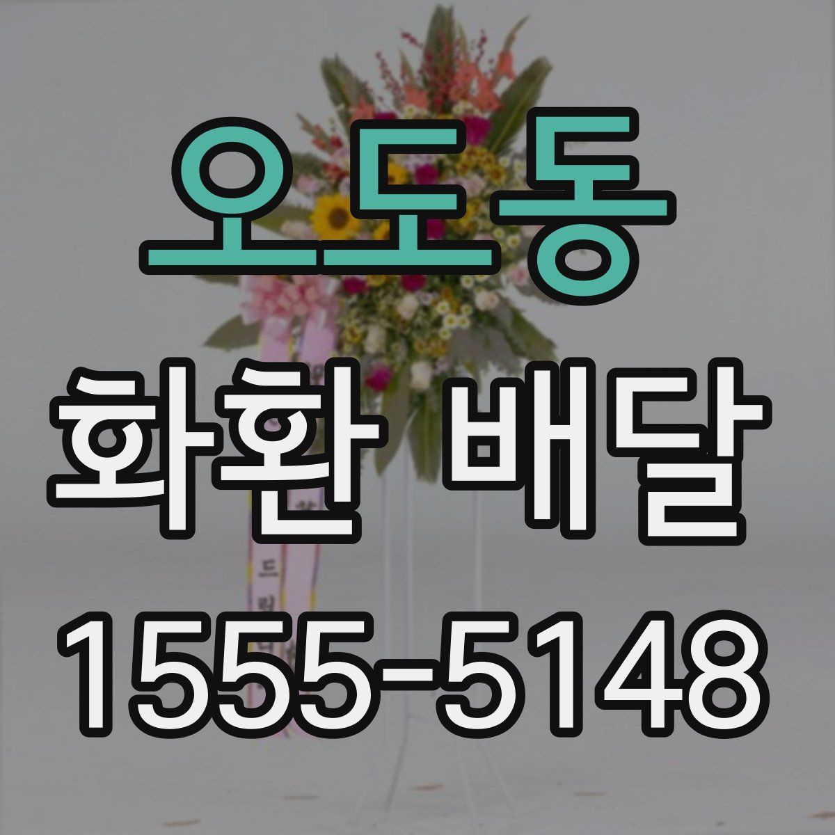 오도동 화환 배달