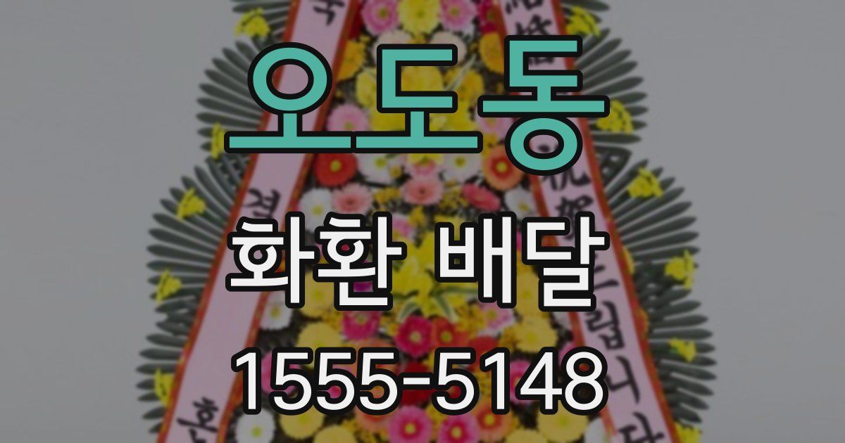오도동 화환 배달