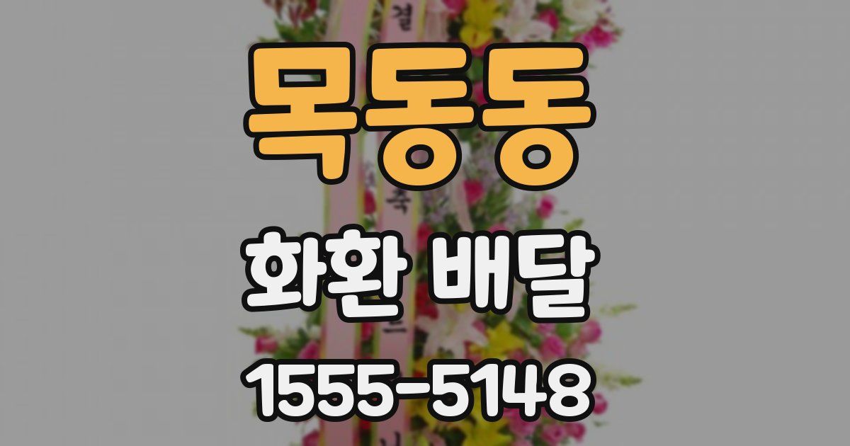 목동동 화환 배달