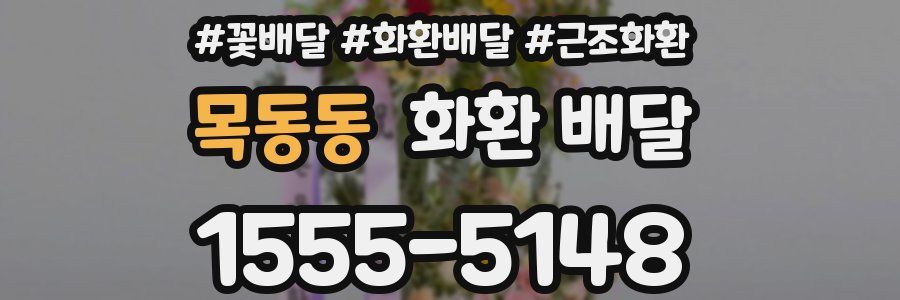 목동동 화환 배달