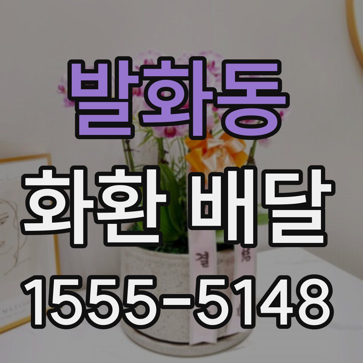 발화동 화환 배달