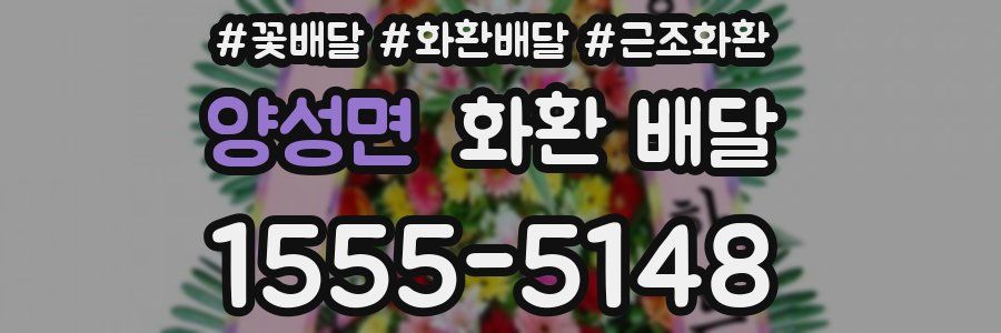 양성면 화환 배달